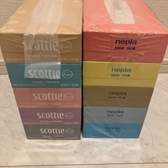 ボックスティッシュ　ティッシュ箱　10箱の画像