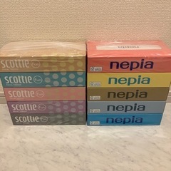 ボックスティッシュ　ティッシュ箱　10箱の画像