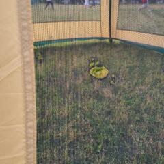  【値下げしました】コールマンSquare Screen 340の画像