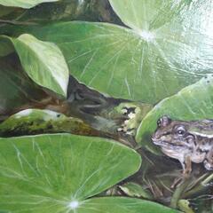 カエルの油絵◇新作◇F4号キャンバス