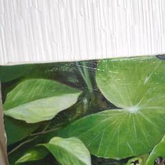 カエルの油絵◇新作◇F4号キャンバス