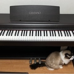 楽器 鍵盤楽器、ピアノ