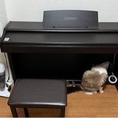 楽器 鍵盤楽器、ピアノの画像