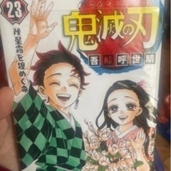 鬼滅の刃23巻➕見聞録2冊(超美品)➕本収納の画像