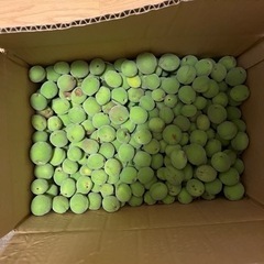 食品の画像