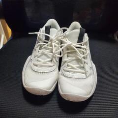 バスケットシューズ23cmの画像