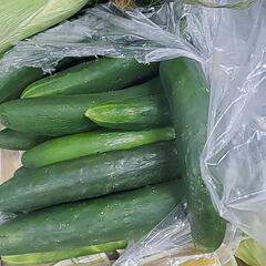 食品