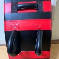 【受け渡し予定者決定】大型ビッグミット　総合格闘技用の画像