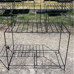 アガベの成育台の画像