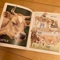 絵本「Farm Animals」の画像