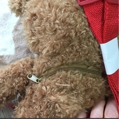 背負うと可愛い、くま ぬいぐるみリュックの画像