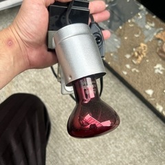 保温器具電球付きの画像