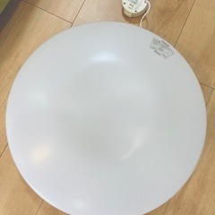 生活雑貨 食器 プレート