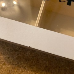 仕切りつき収納
の画像