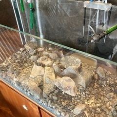 スーパーアクロ90㎝水槽の画像