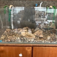 スーパーアクロ90㎝水槽