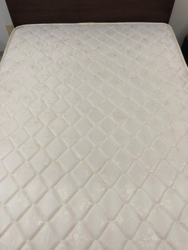 ⭐️ダブルベットセット⭐️