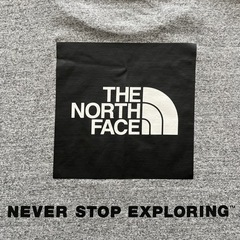 メンズL ノースフェイス スクエアロゴTシャツ グレーの画像