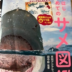深海生物　サメ図鑑ほかの画像