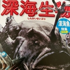 深海生物　サメ図鑑ほかの画像