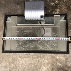 譲渡先が決まりました。小さな水槽