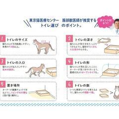 獣医師開発 ニオイをとる砂専用 猫トイレ

の画像