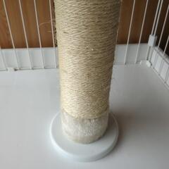 キャットケージの画像