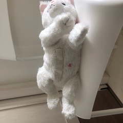 猫産んじゃったシリーズの画像