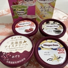 受け付け期間6/8まで☆ハーゲンダッツ＆北海道アイスクリームセット