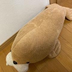 取りに来ていただける人へぬいぐるみ2つの画像