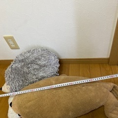 取りに来ていただける人へぬいぐるみ2つの画像