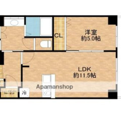 初期費用5.8万円（今月のみ）💖審査ゆるゆるの広いお部屋です🙈💫  - 不動産