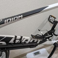 GIANT IDIOM ミニベロの画像