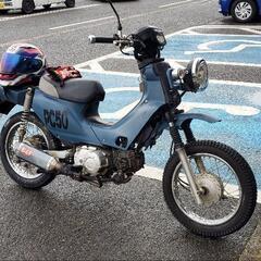 燃えたカブの画像