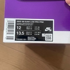 【新品】30cm トワレ Nike SB dunk low pro PRM "city of style"
の画像