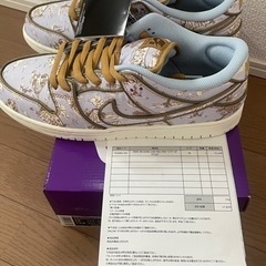 【新品】30cm トワレ Nike SB dunk low pro PRM "city of style"
の画像