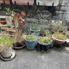 生活雑貨 家庭用品 ガーデニング