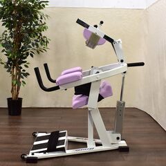 ≪yt1345ジ≫ MIZUNO/ミズノ Well-Round/ウェルラウンド バックエクセテンション アブドミナルクランチ 難あり/現状品 60426-11の画像
