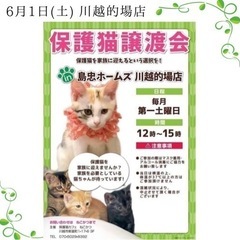 6/1（土）島忠ホームズ川越的馬店保護猫譲渡会