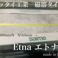 ニッタイ磁器タイル　エトナETN-36-10の画像
