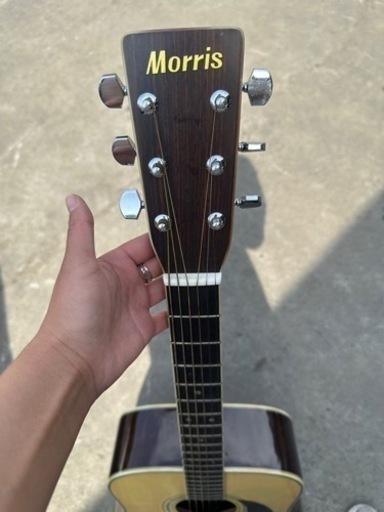 楽器 弦楽器、ギター