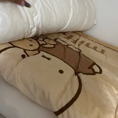 家具 寝具 布団の画像
