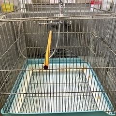 鳥かご  大きめサイズ の画像