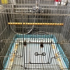 鳥かご  大きめサイズ の画像