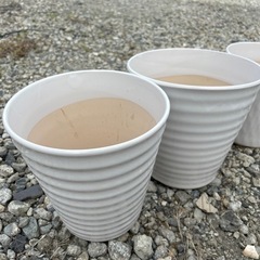 生活雑貨 家庭用品 ガーデニング