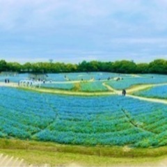 友達募集中です🍀 - 友達