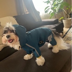 ペット用カッパ
