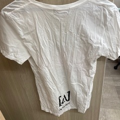 【Alexandros】　ライブTシャツの画像