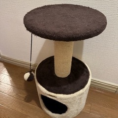 決まりました。