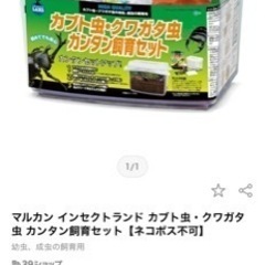 【新品】カブト虫、クワガタ  簡単飼育セット